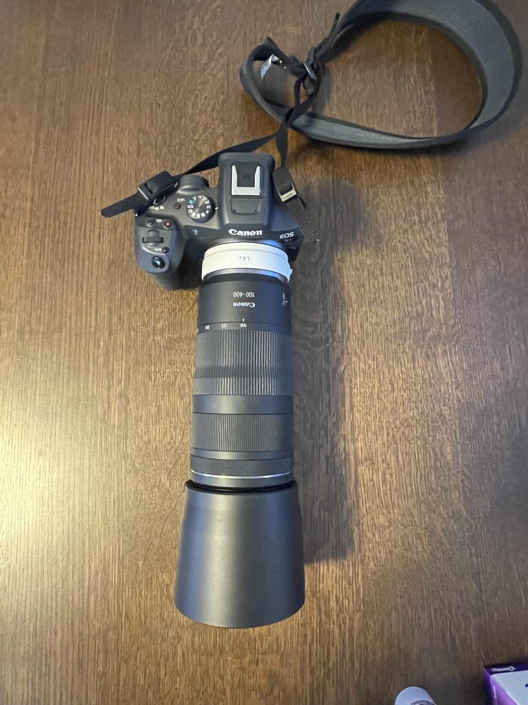 canon eosR7と…