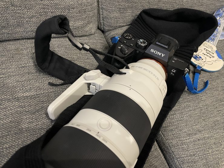 SONY α7 III ＋ FE 200-600mm F5.6-6.3 と polygon XL試作モデル