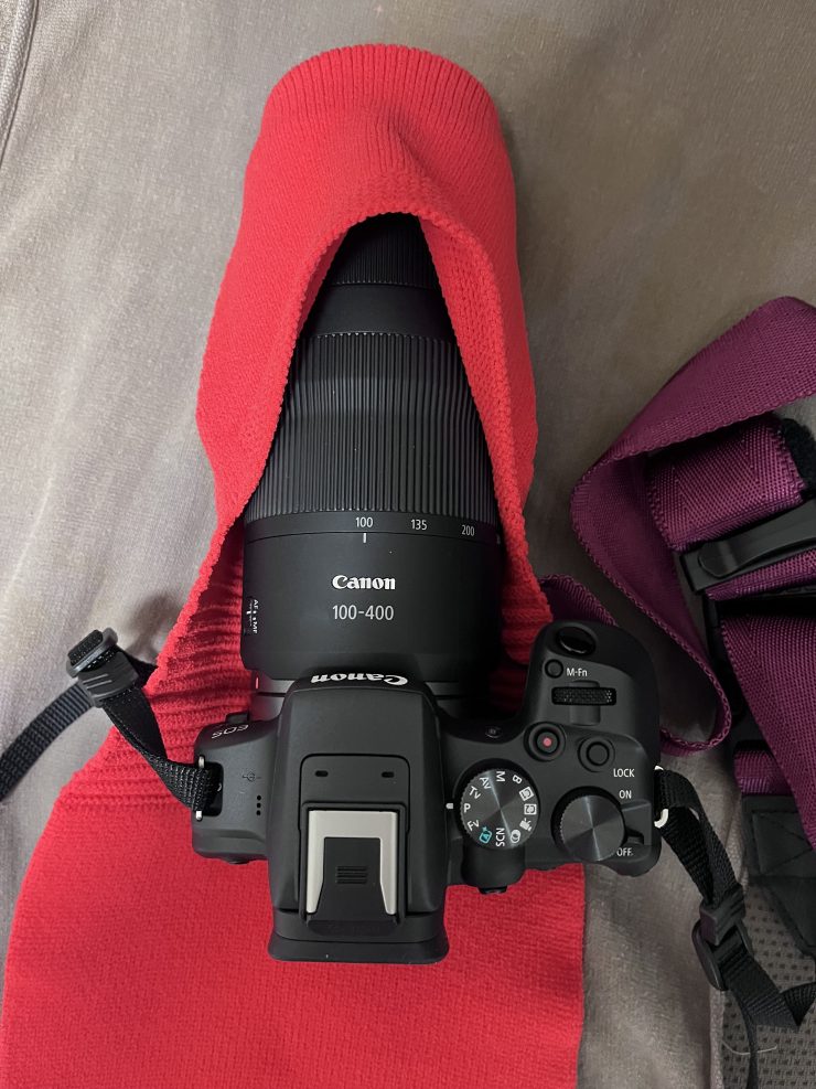 Canon R10とXL