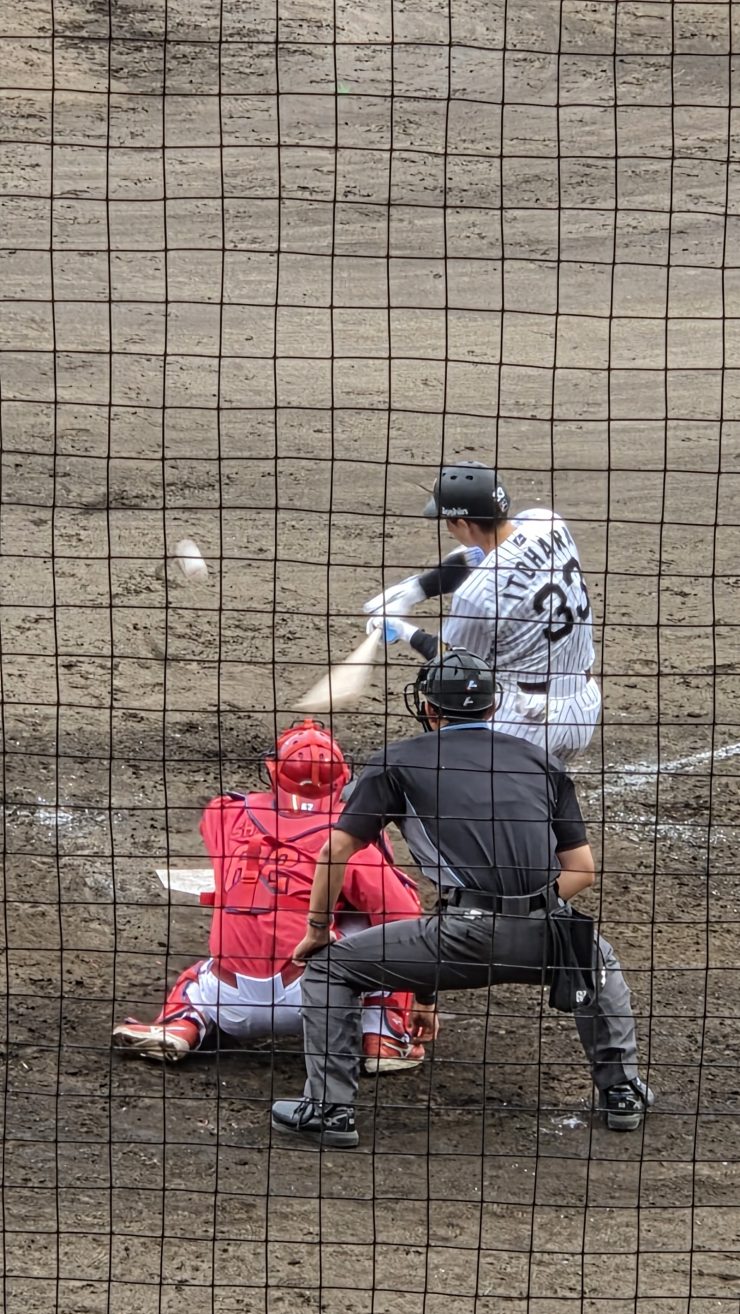 甲子園球場で阪神の推し選手を撮影