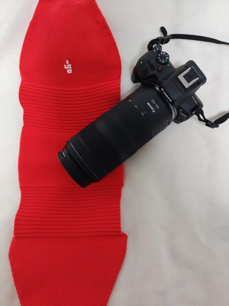 Canon EOS R50＋RF100-400mm F5.6-8 と polygon XL 試作モデル