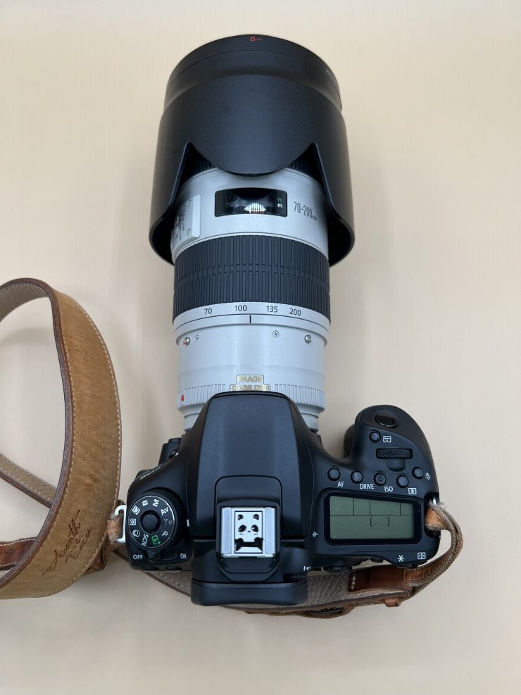 Canon EOS 90D＋EF70-200mm F2.8 と polygon XL 試作モデル