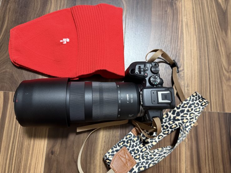 Canon EOS R10＋RF100-400mm F5.6-8 と polygon XL 試作モデル