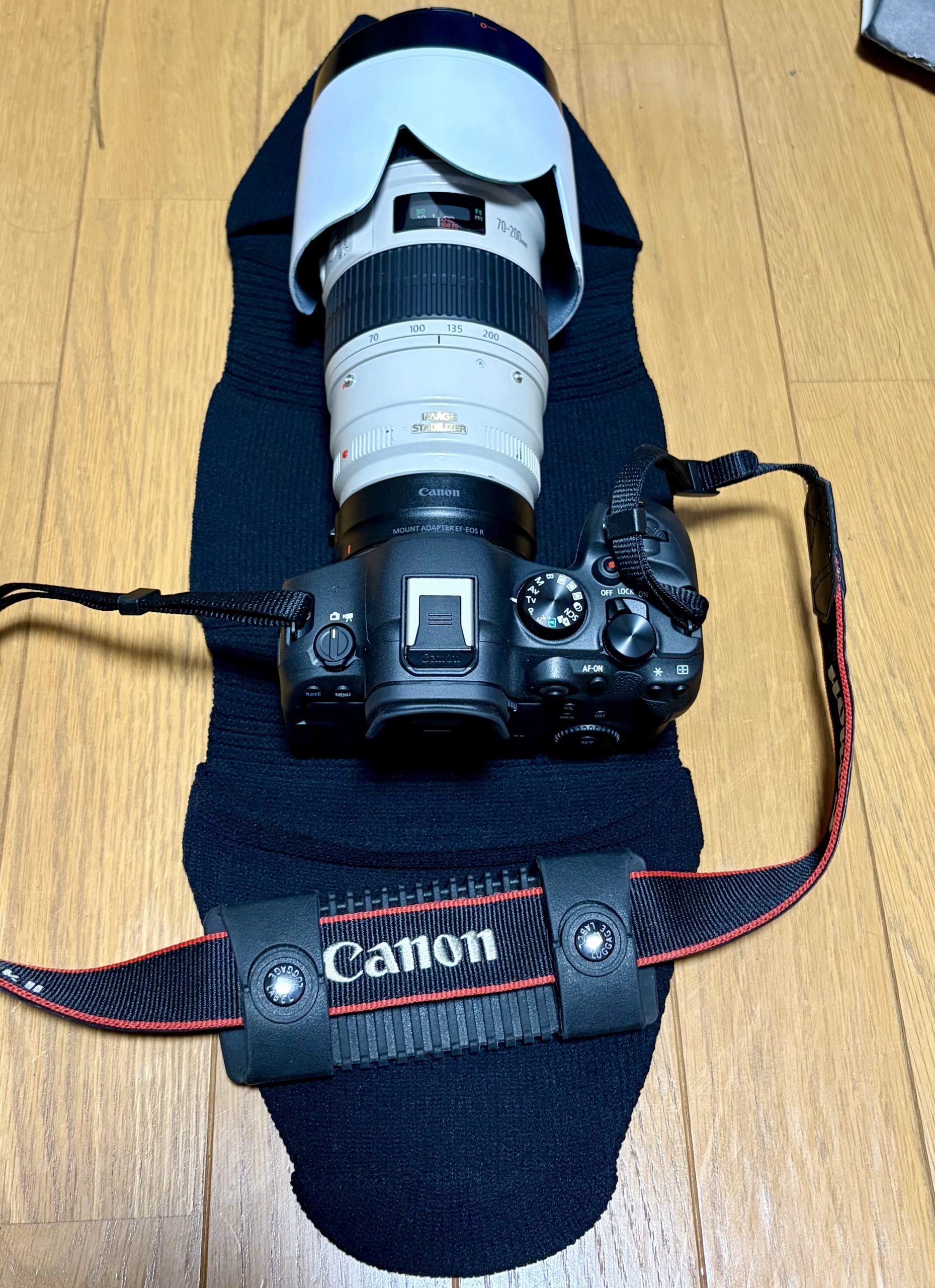 Canon EOS R6 本体 マウントアダプター付 Canon EOS R6 Mark II＋マウントアダプター＋EF70-200mmと_go polygon