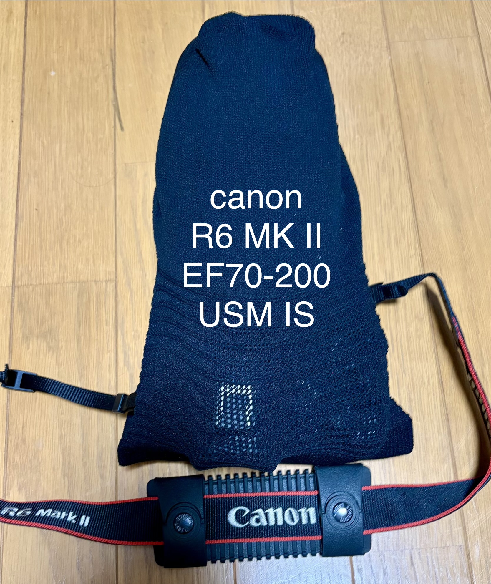 Canon EOS R6 Mark II＋マウントアダプター＋EF70-200mmと_go polygon