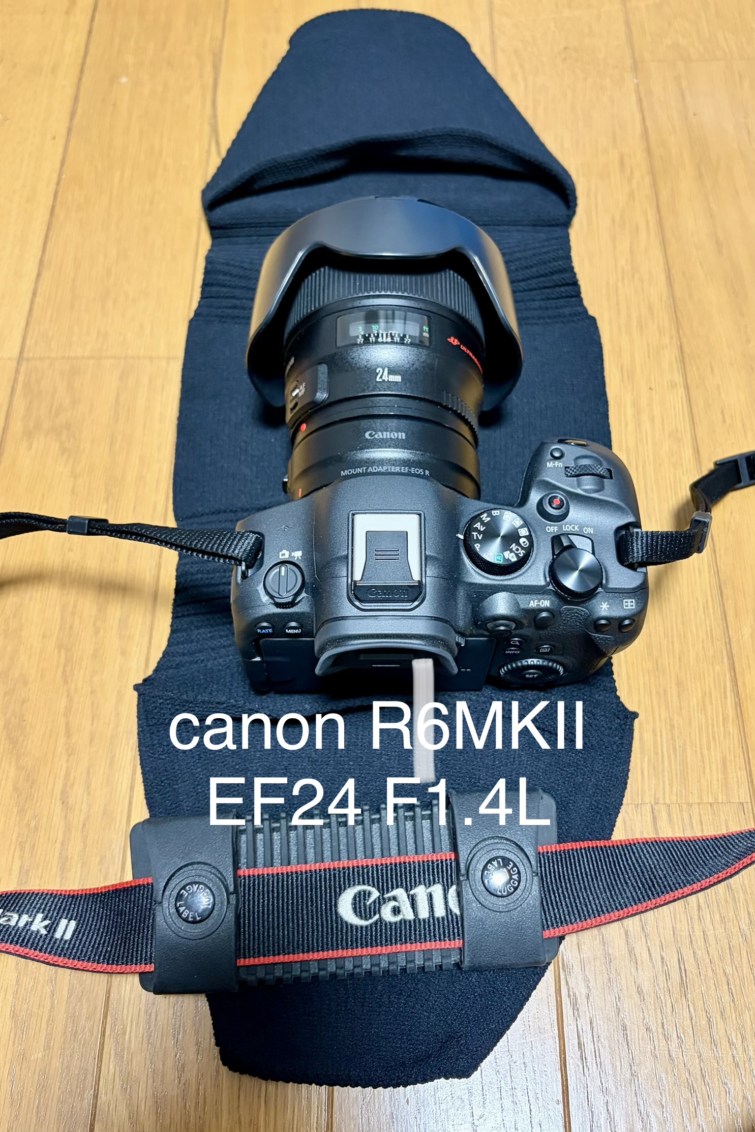 Canon EOS R6 本体 マウントアダプター付 Canon EOS R6 Mark II＋マウントアダプター＋EF24mm F1.4と_go polygon